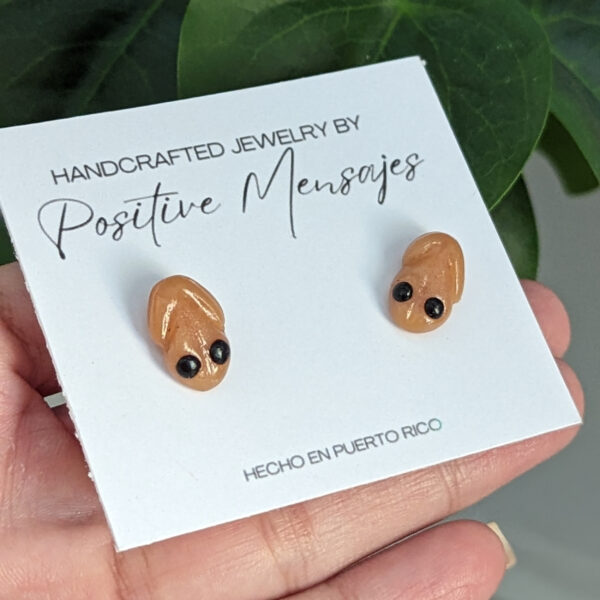 puerto Rico coqui stud earrings with jewelry card