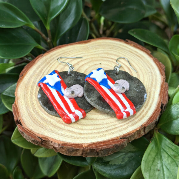 coqui and boricua flag jewelry on log