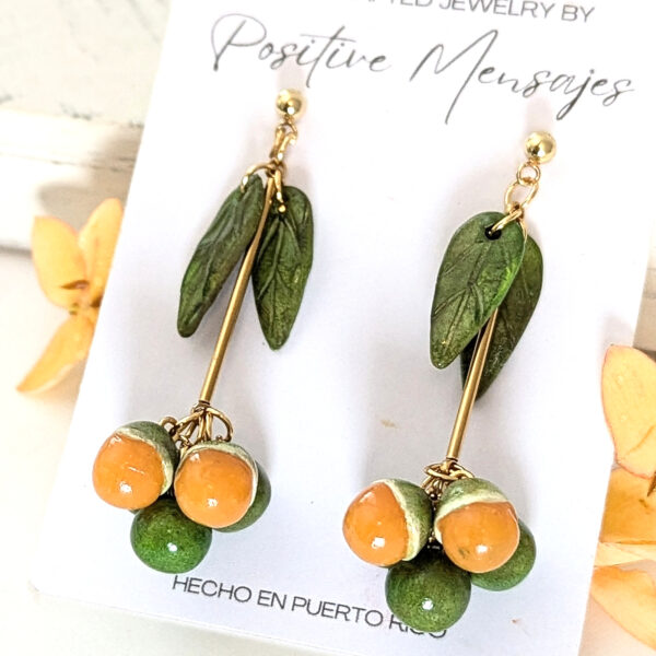 mamoncillo fruit earrings on jewelry card