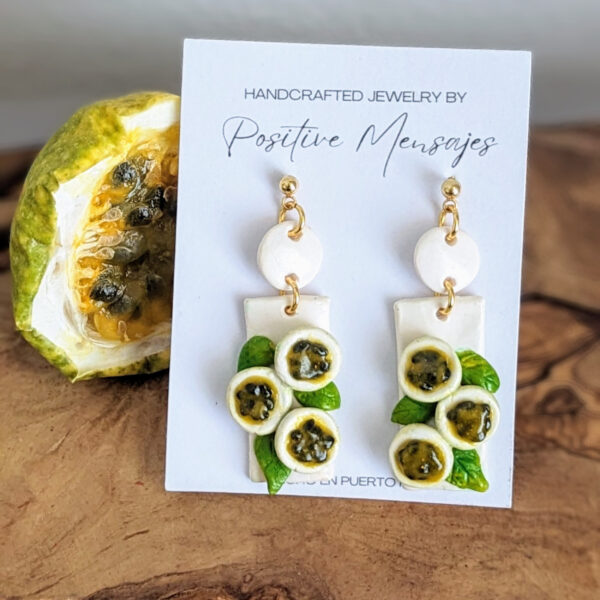 passion fruit jewelry with card and parcha