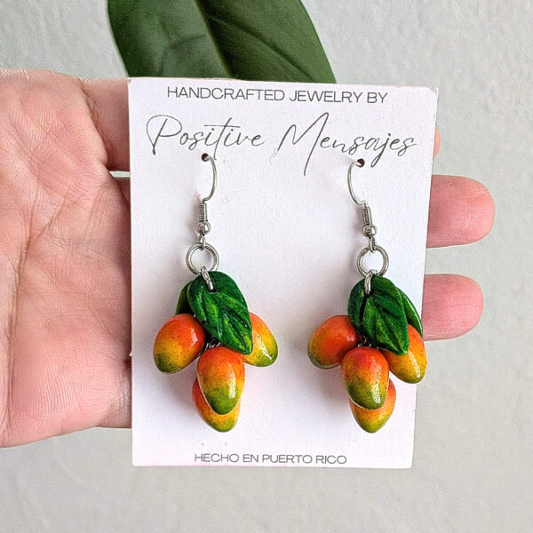 Red Mangoes With Leaves Fruit Earrings