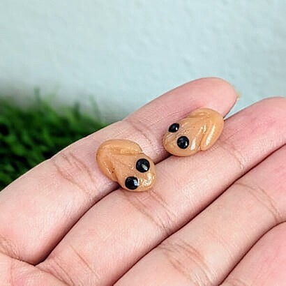 Puerto Rico's Coqui Frog