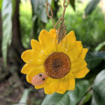 Large Sunflower Pendant Necklace with Coquí Frog